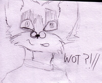 WOT??//
