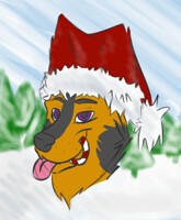 $2 Christmas Avatar