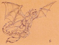In Flight