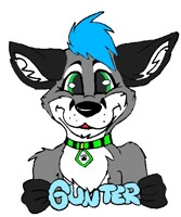 gunter badge 
