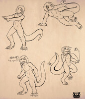 Marco Sketch Page