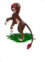 Ridiculous lioness TLKS