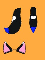 Blue and black tail and ear commission