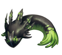 Tiny colourful sea cucumber