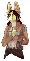 Survey Corps 1!