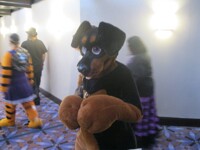 MFF 2013 pic 118