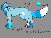 D.J. reference sheet (EDITED) by Awesome-dj-kitty -- Fur Affinity