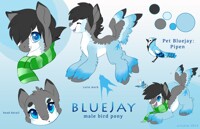 Blue Jay Ref 