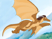 Lady Dragon2