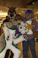 MFF 2013 - 6