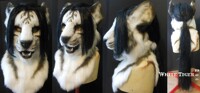 White Tiger W/Headhair