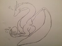 YCH auction and egg adoption