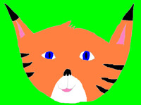 For Electrocat