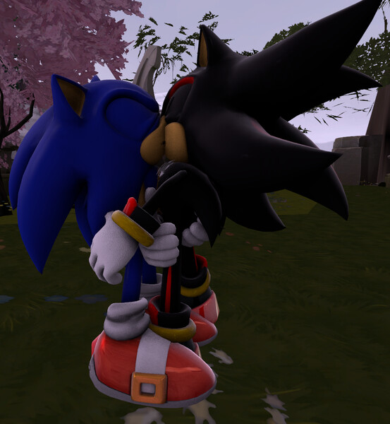 Sonadow Sonic X Shadow GIF - Sonadow Sonic X Shadow Sonic X Shadow