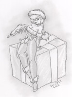 2013 Dec - Present Wrap