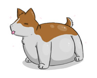 Chubby Corgi~