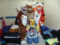 Christmas party Kitty Pile!