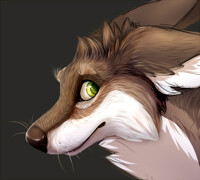 Paint - Work in Progress