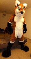 Full suit