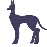 Zex Dog