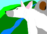 THE WEREWOLF FROM MY DREAM