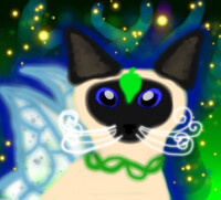 fairy cat