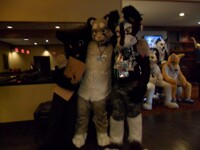 Great Lake Fur Con #8 