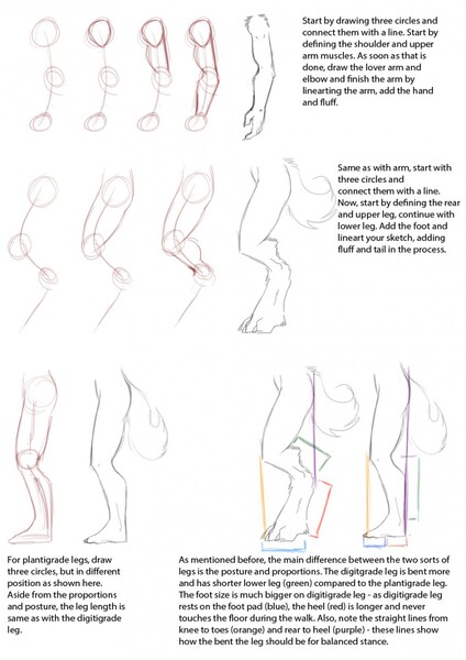 leg drawing reference