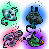 Sea Pancake Adopts!