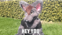 Hey you! (GIF)