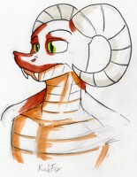 Malt's Color Pattern