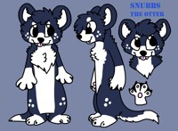 Snubbs the otter