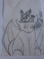 phoe on toothless's head