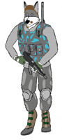Medium Loadout