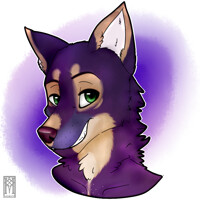 Headshot 1 : Mocha-Husky