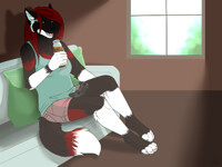 actual joe [COM]