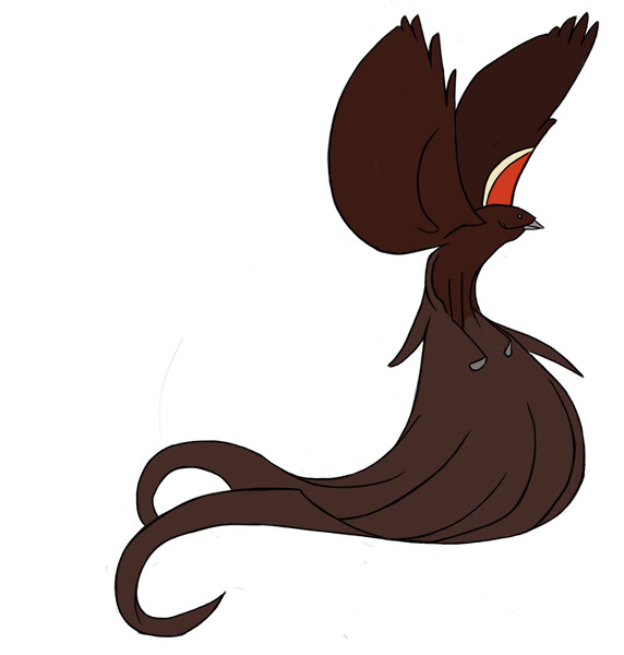 Long-Tailed Widowbird (Sakabula) by JamminBison -- Fur Affinity [dot] net