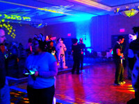 FE 2014 - Photo #5: Furry Rave