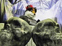 Underground Monster Carnival - Skulls