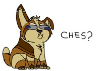 Watch those spines Chespin.