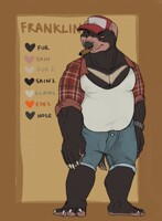Franklin SFW