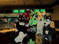 lampers bowling: wolves and foxes