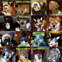 MFF 2013 - Unidentified Fursuiters 02