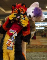 Das Adorable Duos (BLFC 2014)