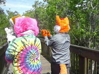 1st Glow Paws Meet April 5th 2014 - 29