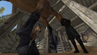 Shrunk in the stable 2