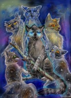 Oakheart [Warrior - Cats] by ~Akatsu -- Fur Affinity [dot] net