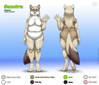 A Coyote