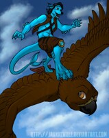 LSC: Arrow and Lunarkeys Skysurfing