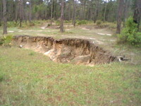 Blackwater River 4/7